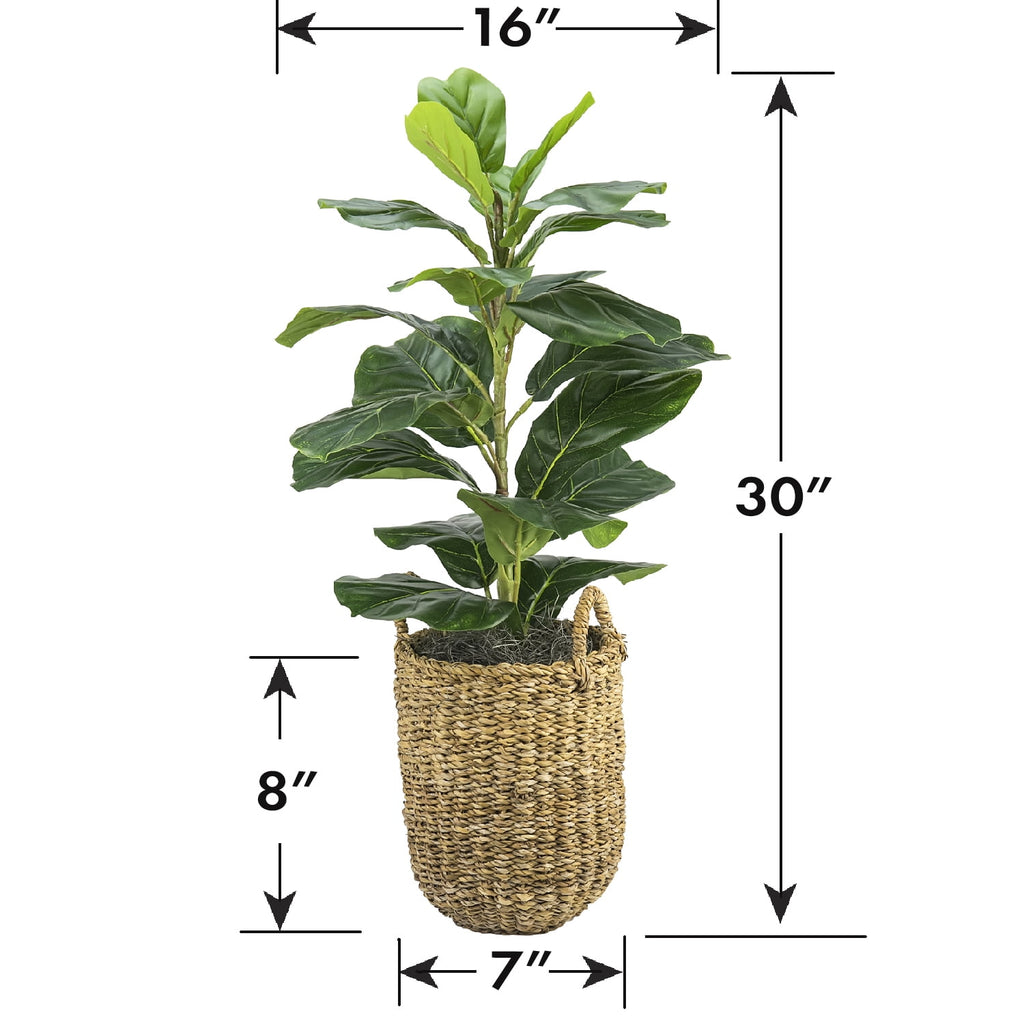 LCG Sales Artificial Plant, Fig Plant, 2.5 ft, Handwoven Basket with Handles